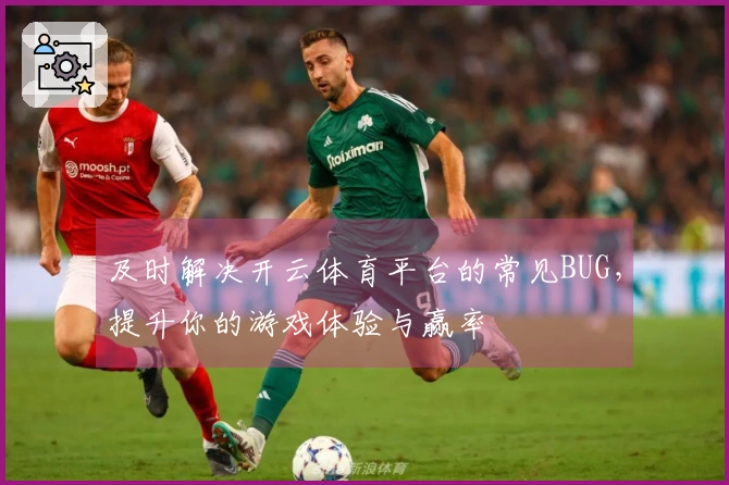 及时解决开云体育平台的常见BUG，提升你的游戏体验与赢率