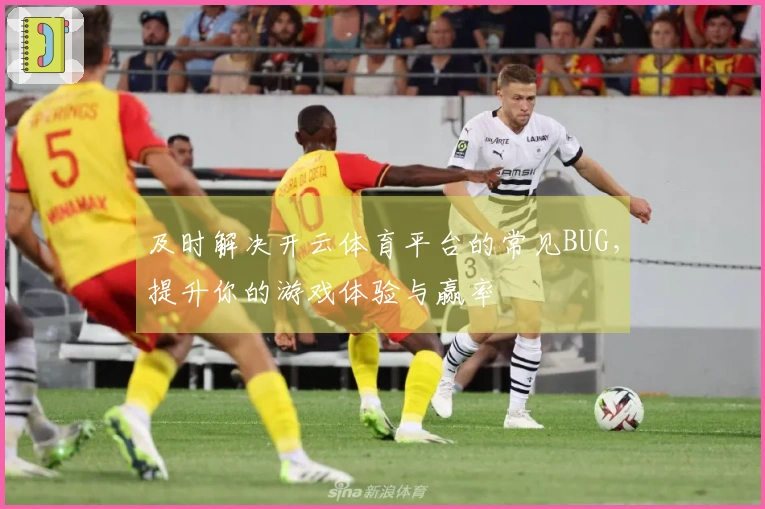 及时解决开云体育平台的常见BUG，提升你的游戏体验与赢率